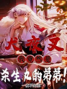 杀生丸犬夜叉是什么关系