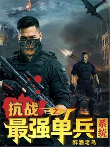 抗战之最强杀手系统