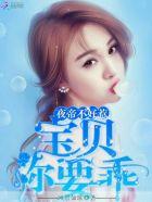 帝少心头宠宝贝你要乖