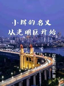 作者名小辉