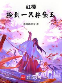 红楼捡到一只林黛玉全本免费阅读