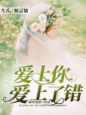 爱上你爱上错全集
