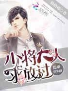 少将影后妻