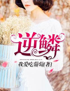 逆鳞歌词