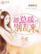 强宠1001夜总裁别乱来免费阅读正版