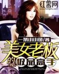 极品女老板电视剧推荐