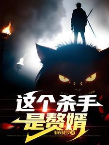 这个杀手是赘婿免费听书