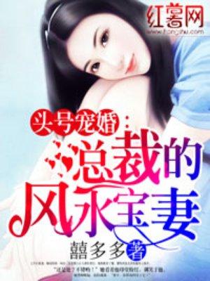 总裁的风水宝妻免费