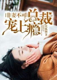 总裁宠上瘾 火狐狸