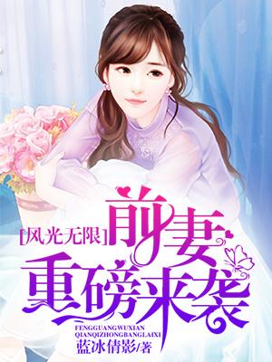 风光无限前一句是什么