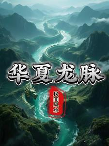 华夏龙脉老板是谁