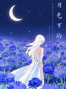 月光下的小汽车主要讲了什么