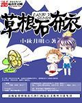 草根石布衣TXT精校版