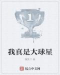 我真的是大球星