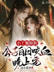 一个丫鬟和公子的