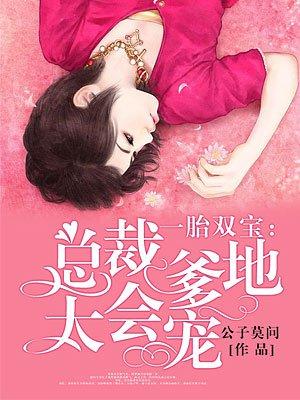 一胎双宝总裁爹地太会宠夏念