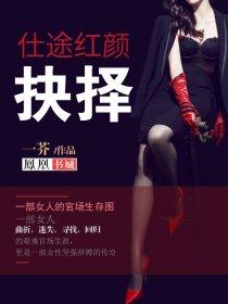 仕途红颜抉择 第129章