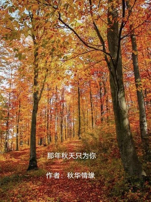 那年秋天歌词