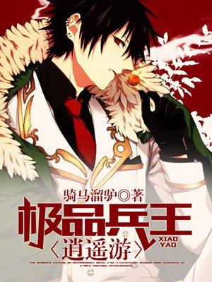 极品兵王免费