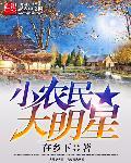 小农民大明星类