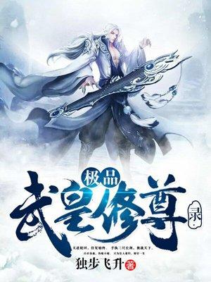 绝品武帝境界