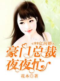 99亿闪婚豪门总裁夜夜忙阅读