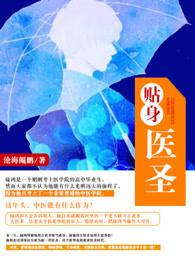 贴身医圣免费全文