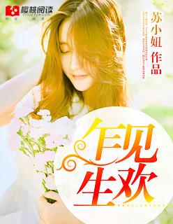 乍见生欢舒月沈遇和免费阅读不收费