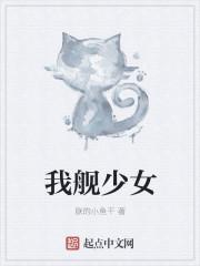 我舰少女 朕的小鱼干