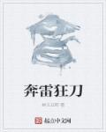 奔雷刀法和风雷剑法