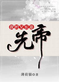 我的兄长是先帝 讲什么