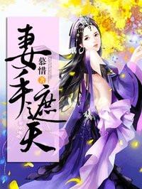 妻手遮天电子书TXT全本