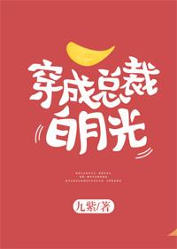 穿成总裁的白月光 百度