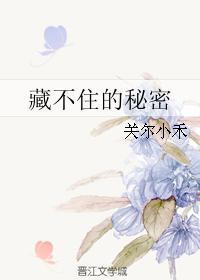 藏不住秘密也藏不住忧伤是什么歌