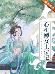 婢女上位记怎么这么悲啊