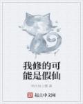 我修的可能是假仙全文免费