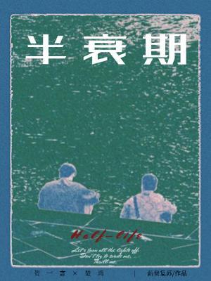 半衰期质量的计算公式