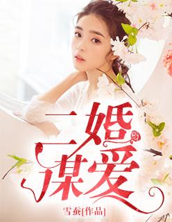 二婚 言情