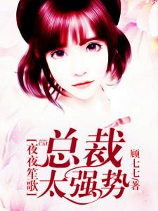 总裁夜夜宠妻无度免费阅读
