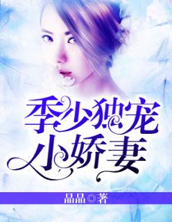 独宠季少的小娇夫类型的