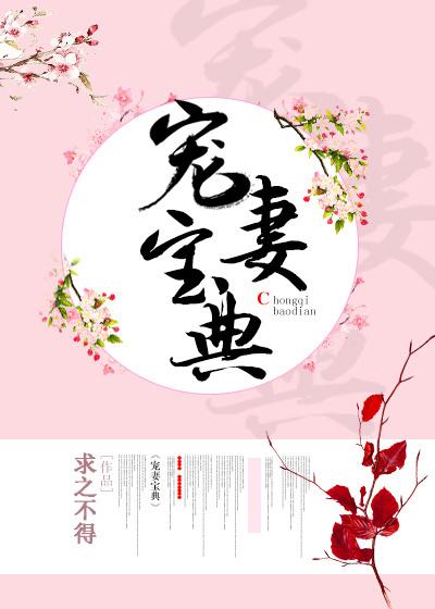 宠妻秘籍