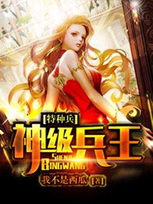 特种兵之神级兵王王艳兵
