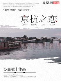 京沪之恋讲的什么