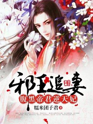 邪王追妻帝少番外