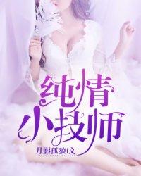 纯情小技师完结
