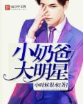 奶爸大明星的老婆