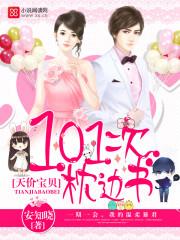 天价宝贝101枕上书