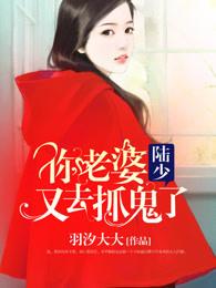 陆少你闪婚妻子又跑路了免费阅读
