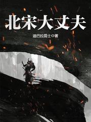 北宋大丈夫全本TXT