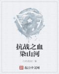 抗战之血染山河 第185章
